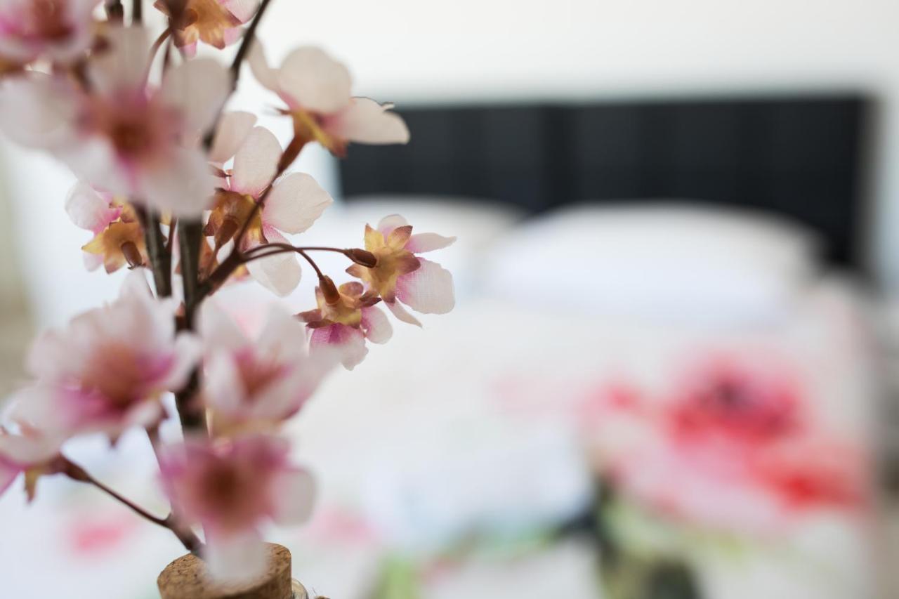 Studio Apartman Moonlight Zadar Bagian luar foto