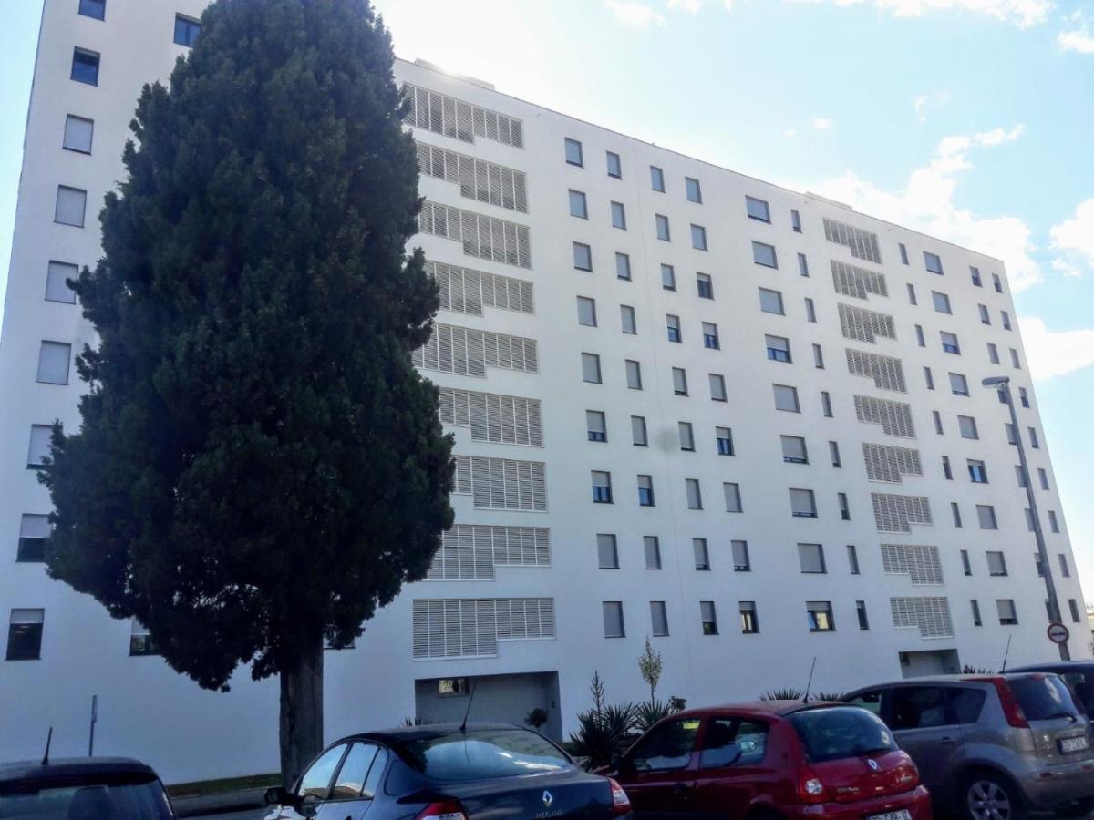 Studio Apartman Moonlight Zadar Bagian luar foto
