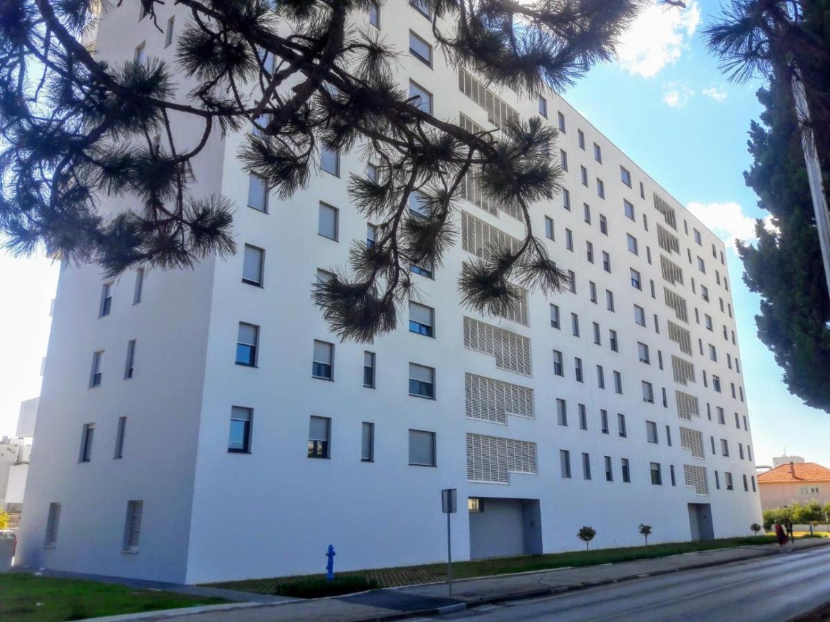 Studio Apartman Moonlight Zadar Bagian luar foto